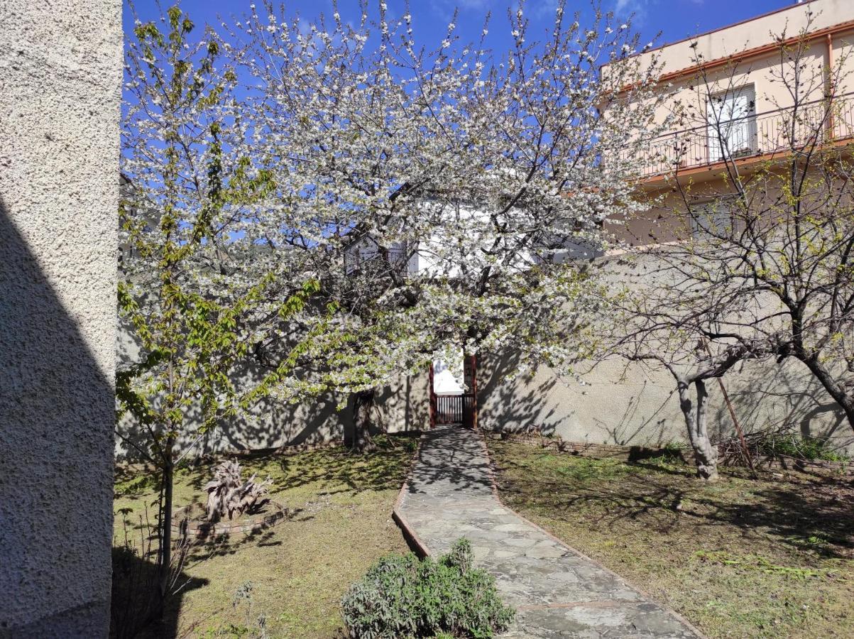 Antica Dimora Palazzo Rovitti Bed & Breakfast Cerchiara di Calabria ภายนอก รูปภาพ