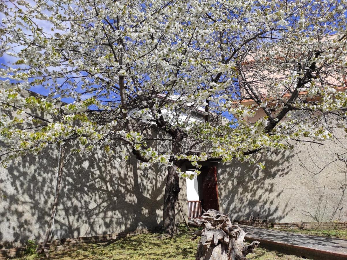 Antica Dimora Palazzo Rovitti Bed & Breakfast Cerchiara di Calabria ภายนอก รูปภาพ