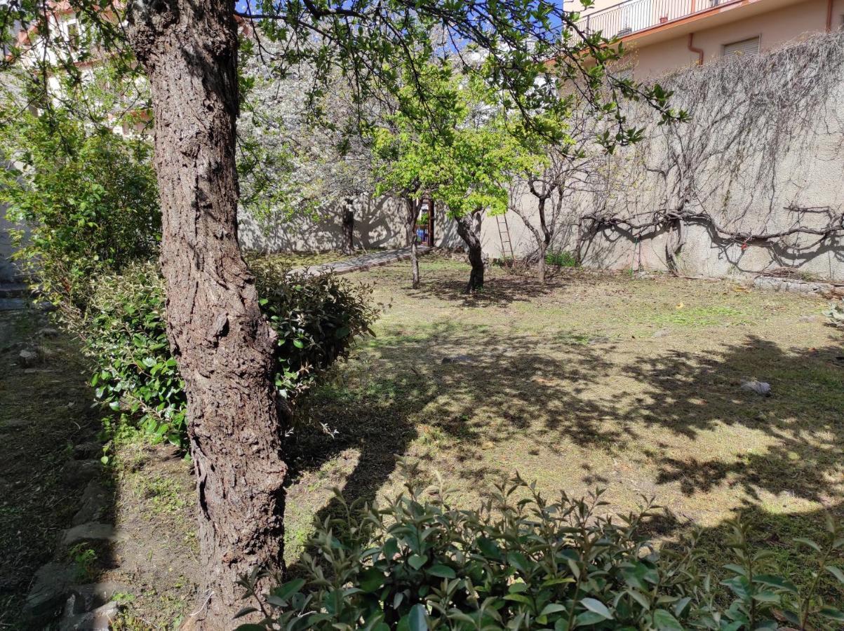 Antica Dimora Palazzo Rovitti Bed & Breakfast Cerchiara di Calabria ภายนอก รูปภาพ
